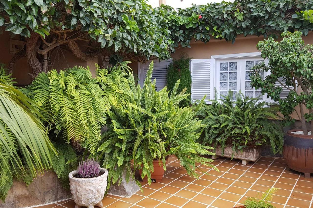 Preciosa casa con Jardín ideal familias La Orotava Exterior foto